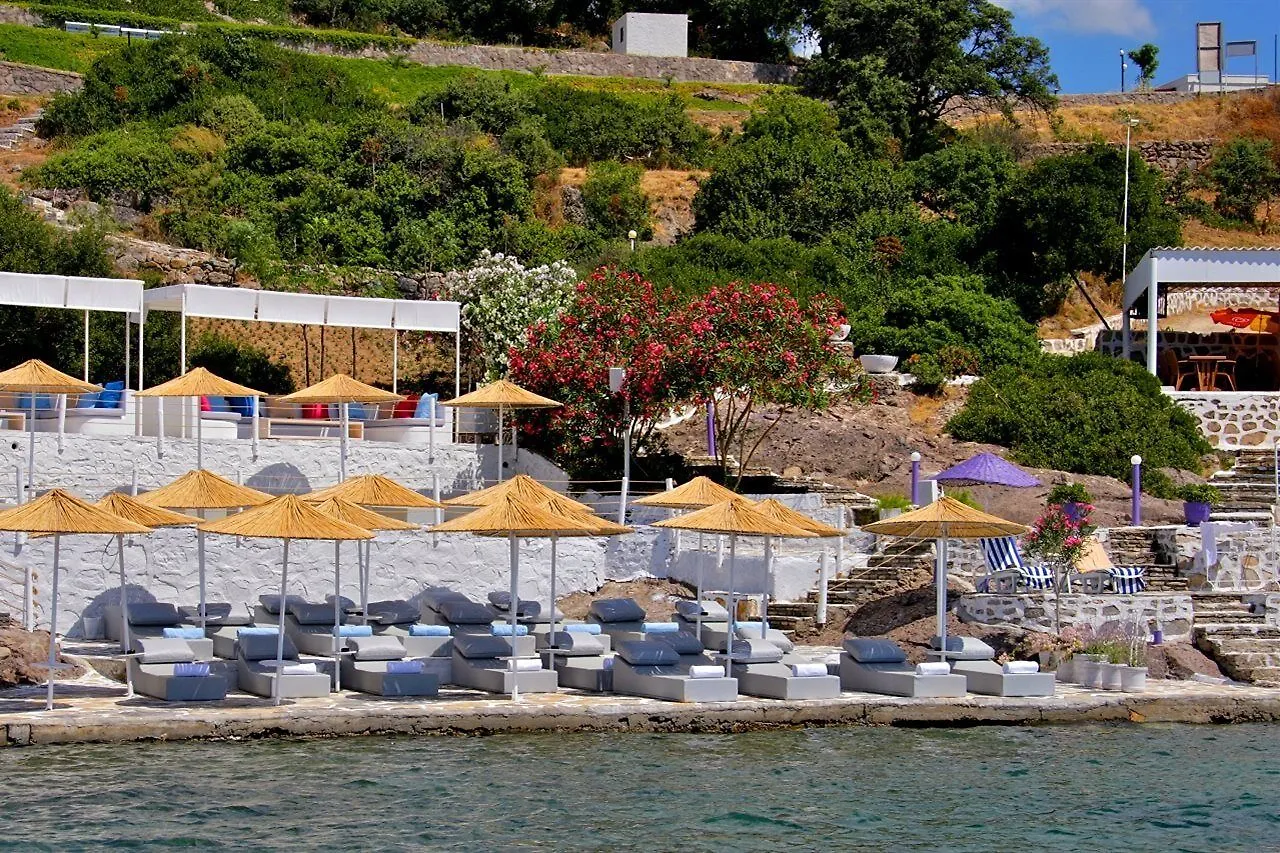 Doria Hotel Bodrum-City Center Bitez 5*,